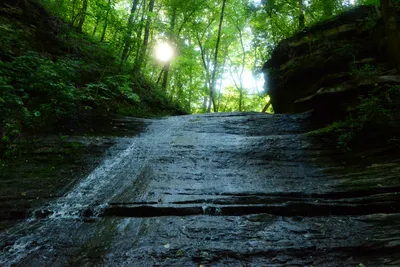 DSC_2770 (Large).JPG